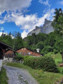 Chalet la corne du chamois - Sixt - 3