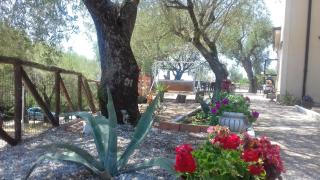 Oasi Petrus Cilento B&B - Marina di Camerota - 7