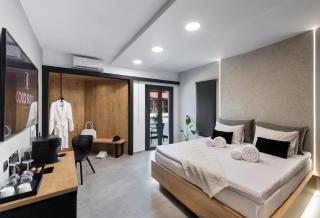 COCO SUITES - Vassiliki - 2