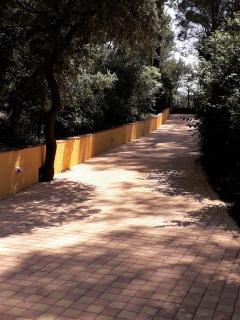 LES RESTANQUES - Chambre d'hôtes - Cuges-les-Pins - 7