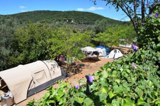 Blucamp Natural Village - Campiglia Marittima - 7