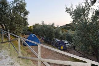 Blucamp Natural Village - Campiglia Marittima - 6