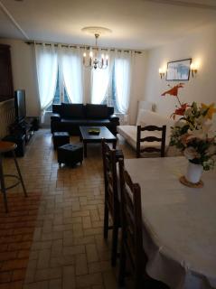 maison individuel proche des châteaux et Amboise avec jardin clos - Pocé-sur-Cisse - 2