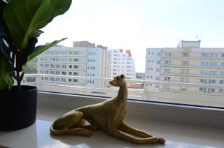 HOLIDAY HOME Slavia New 510 z widokiem na morze - Międzyzdroje - 4