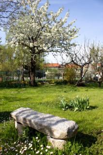 Villa Delbia - L'Elfo - Candelo - 5