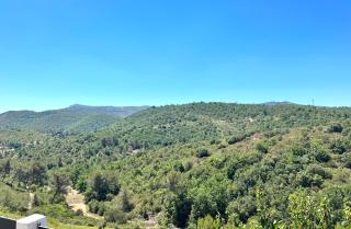L’Eden sur la Colline - Peypin - 2