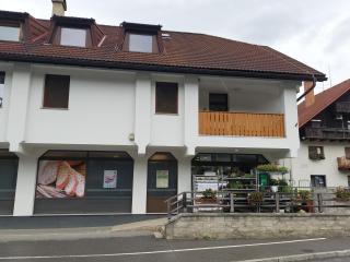 Apartment Veninsek - 3