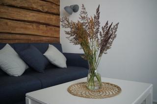 Aiaviisa apartment - Pärnu - 0