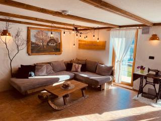 Wellness Holiday House Lagev - Moravske Toplice - 1