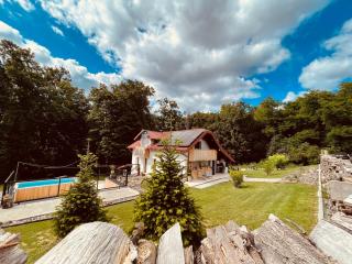 Wellness Holiday House Lagev - Moravske Toplice - 8