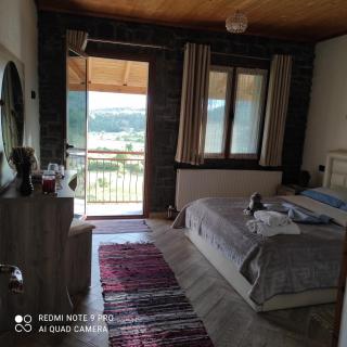 Bujtina Vila Dodo - 1