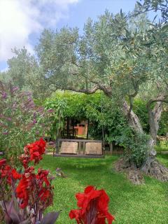 Golden Camp - Falerna - 8