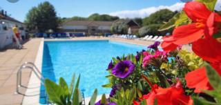 Jungle lodge - Lymington - 7