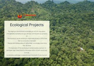 La Shamana - Ecological Concept in Jungle - Cahuita - 7