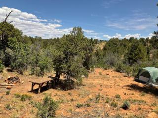 Indian Canyon Ranch - Verdure - 6