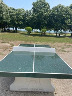 Kallatia Studio Saturn - Mangalia - 9
