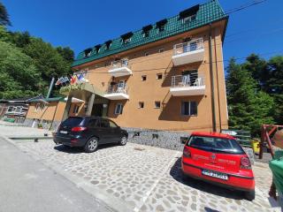 Hotel Green Palace - Sinaia - 8
