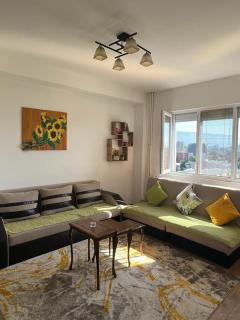 Vik Apartments - Skopje - 6