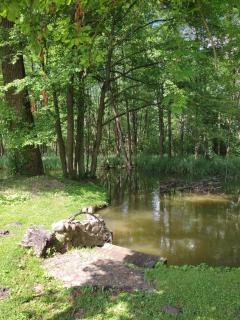 Gościniec Kotowina - 1