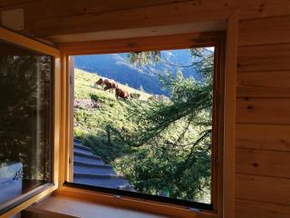 Karavanke mountain hut - Jesenice - 9
