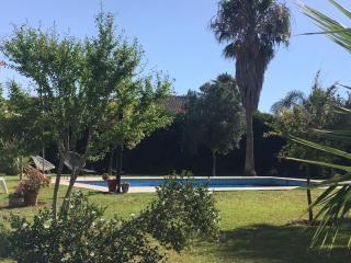 Casas Lionel - Conil de la Frontera - 8
