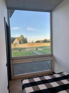 Marių pakrantė - Svencelė - 1