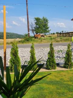 Prestige Cottage - Baile Felix - 6
