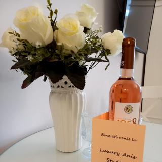 Luxury Studio Anis 1 - 6