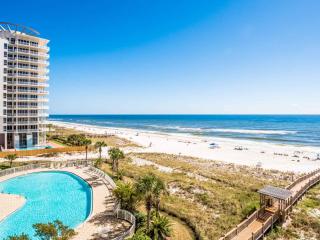 Beach Colony Towers #5A - Perdido Key - 9