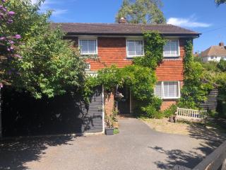 Lewes Beautiful sunny flat in the historic town - Lewes - 0