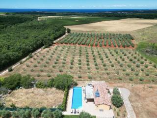 Villa Absolute privacy - Novigrad - 8