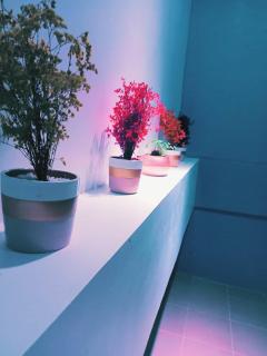 Lee Residences by JAL - Legazpi - 1