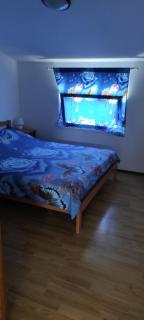 Apartmani Mira Tresk otok Vir - Vir - 8