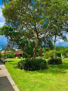Hotel CSI Llanogrande - Rionegro - 9