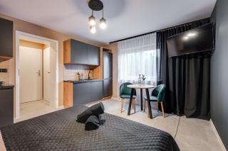 Loft House Apartment Studio z ogródkiem 1 - Rybnik - 6