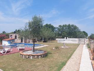 Apartments Chipo - Vodnjan - 1