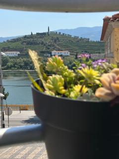 Alojamento Joaninha Douro 2 - 3