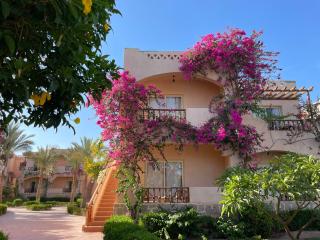 Dream Lagoon Resort & Aqua Park - Marsa Alam - 2