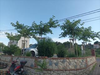 Feel Good Apartment Rab Mundanije 131 - 1