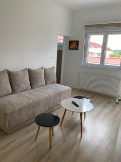 Apartman Cadiz Banja Koviljača - Banja Koviljača - 8