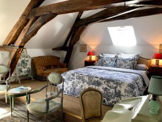 Manoir de La Croix Saint Louis "Luxury Guest House" - Taingy - 7