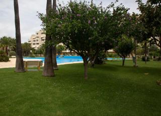 Jamaica Beach House - 8