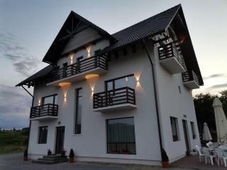 Vila President Sovata - Sovata - 0