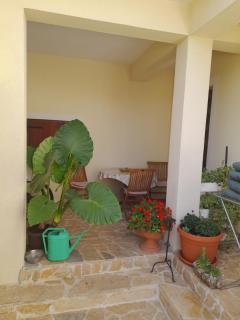 Apartment Dukic - Sveti Filip i Jakov - 5