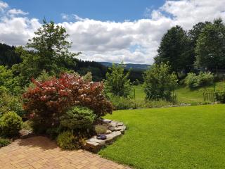 Hortenzie - Kašperské Hory - 9