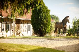 Afbeelding van de locatie