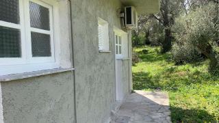 Neos Alexandros Sun & Fun - 6