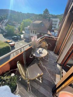 Muggel Apartments - Alpirsbach - 4