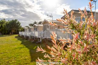 Domki Letniskowe "W Stronę Morza" - 7