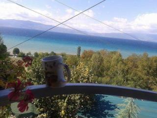 Vila Anastas - Ohrid - 4